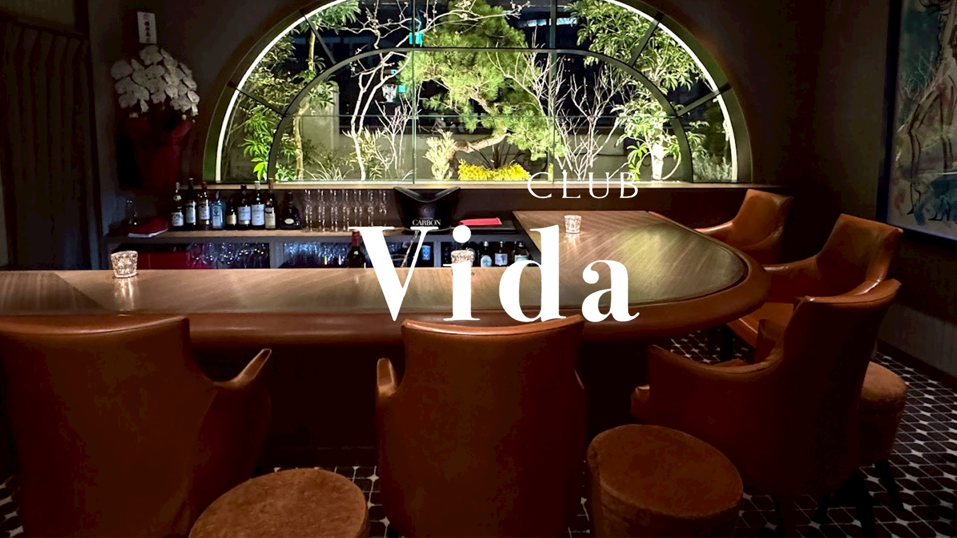 Vida（ヴィダ）