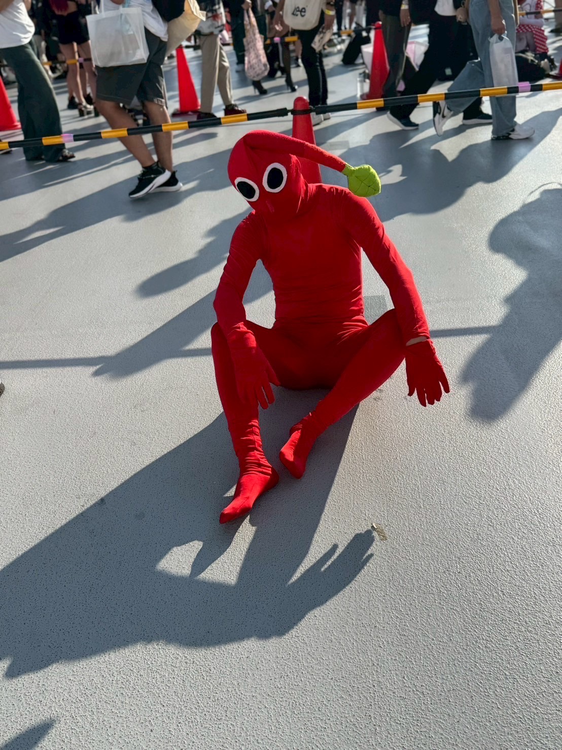 コミケ会場現地で撮影した、他のコスプレイヤーたちの写真