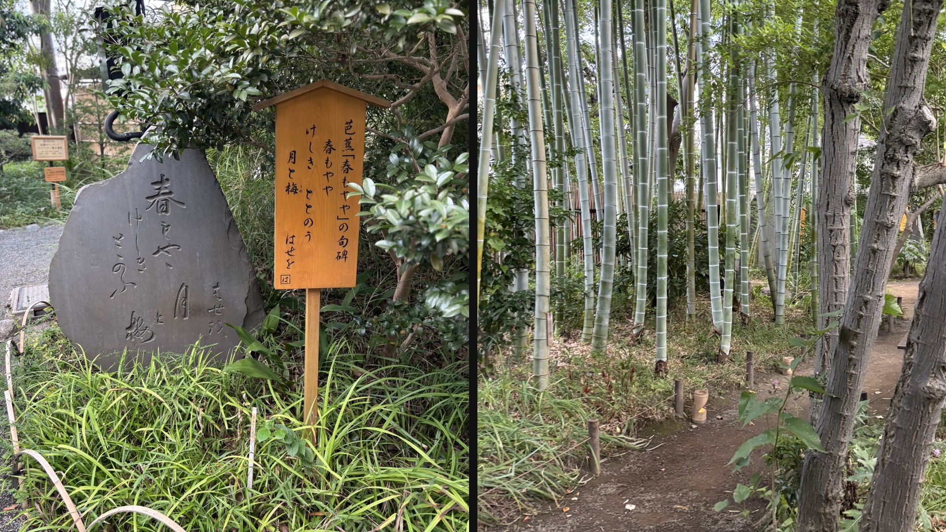 竹トンネル